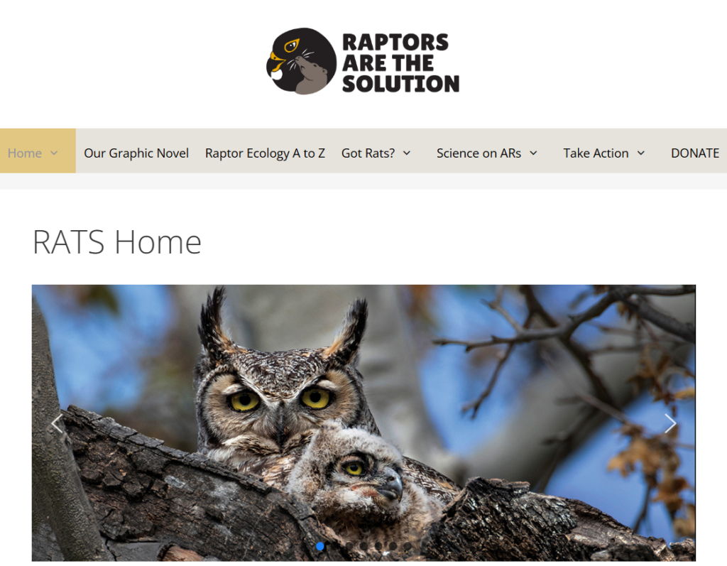 Raptors are the Solution (RATS) homepage image, featuring an owl and baby owl