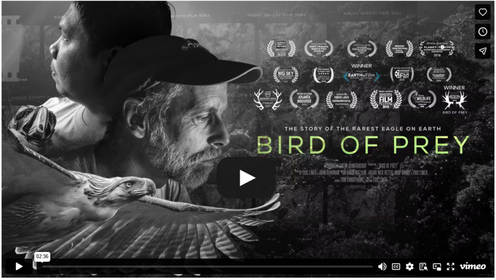 Bird of Prey (2018) documentary photo, featuring a rare eagle
