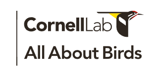 Cornell Lab All About Birds logo, featuring a black and white graphic of a bird