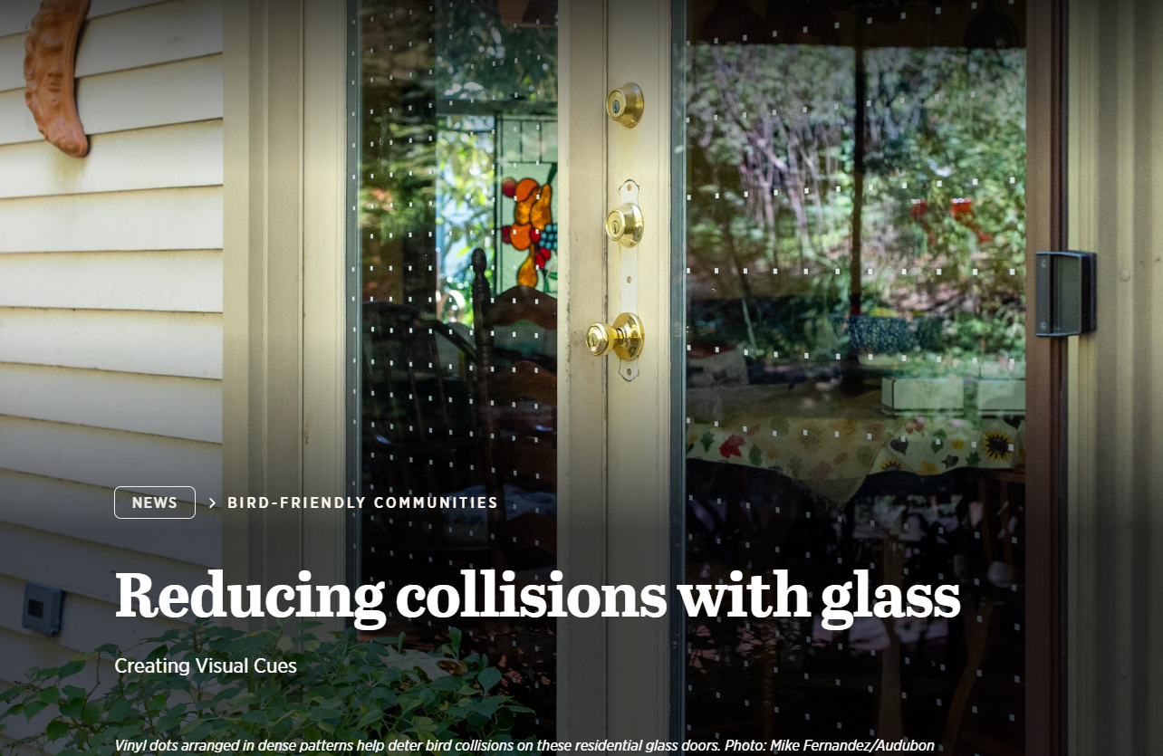 A screenshot of an Audubon society article titled "Reducing collisions with glass," over an image of glass doors on a house